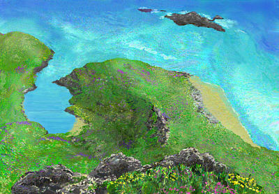 Cliff-top view with flowers, 2005